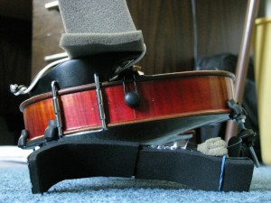 IMG_7953